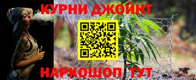 амф Новозыбков