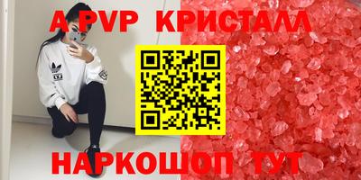 амф Новозыбков