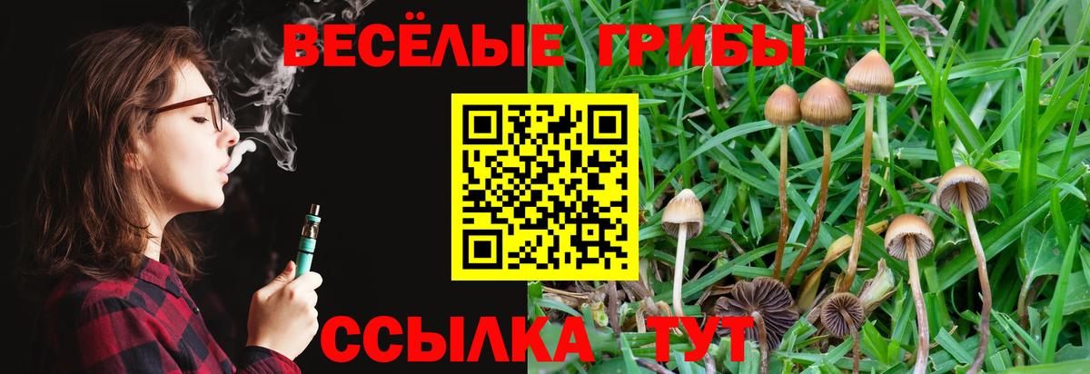 Ростов-на-Дону  Псилоцибиновые грибы прущие грибы  Вход с VPN  Галлюциногенные грибы мицелий 